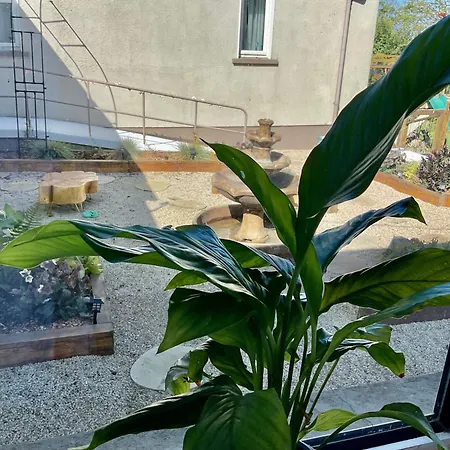 Art Deco House Oceanview